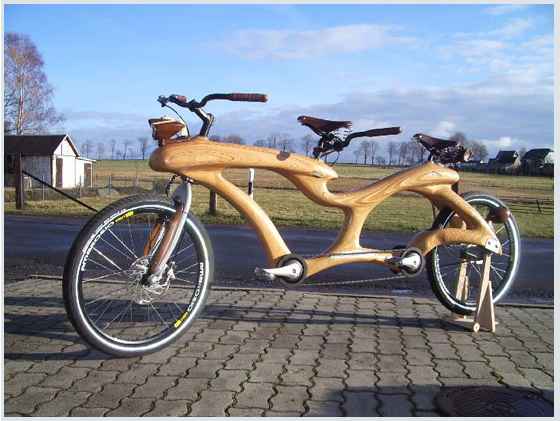 wood tandem.jpg