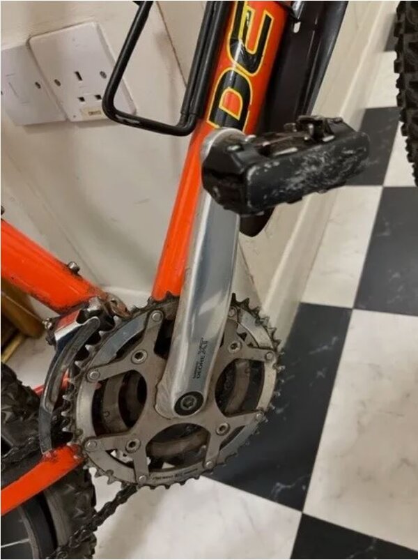 devinci 2.JPG