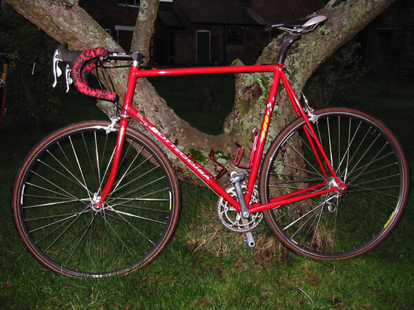 Bottecchia side view.jpg