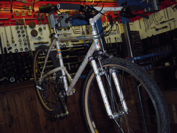 Ritchey tyres 111.jpg