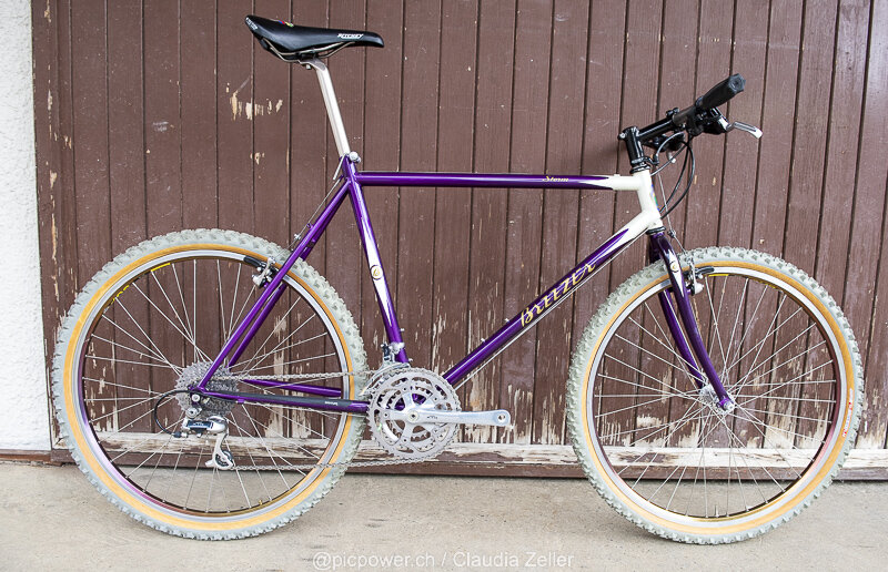 _DSC3748_Breezer violett.jpg