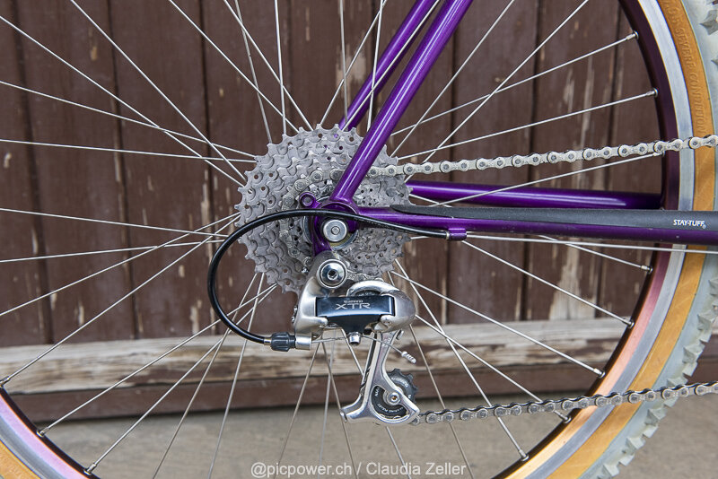 _DSC3749_Breezer violett.jpg