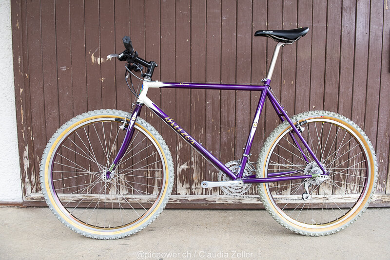 _DSC3758_Breezer violett.jpg