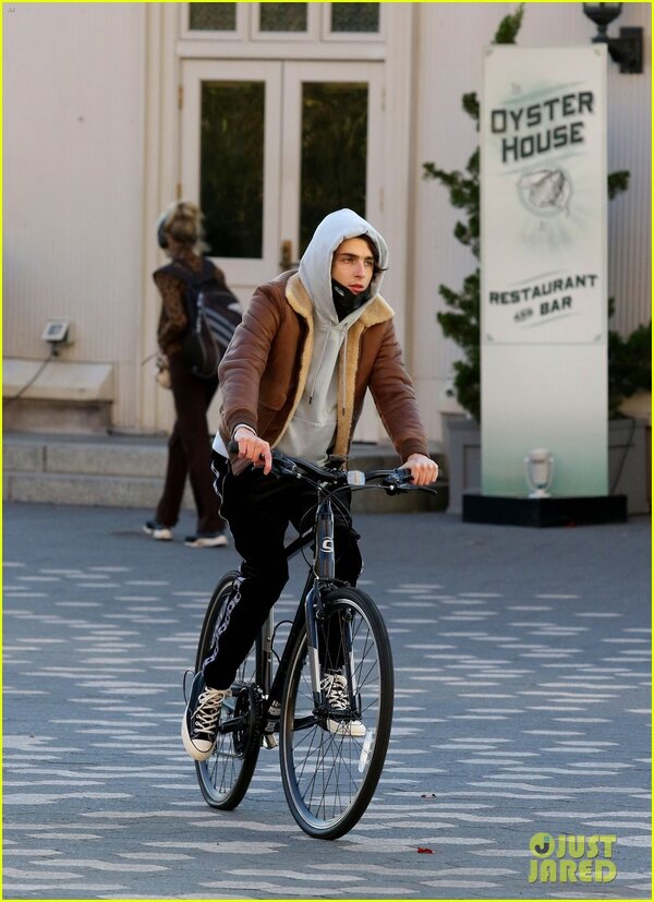 timothee-chalamet-bike-ride-in-new-york-18-1202197891.jpg