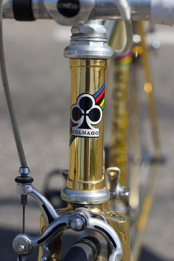 Colnago-Oro_0152-1024x1536.jpg