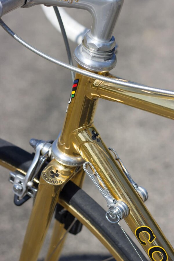 Colnago-Oro_0150-1024x1536.jpg