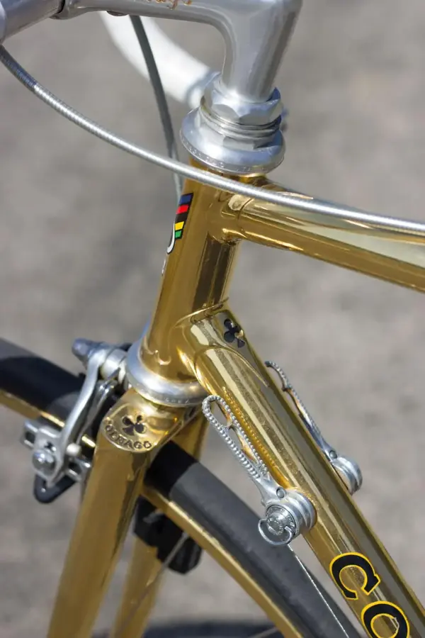 Colnago-Oro_0150-1024x1536.webp