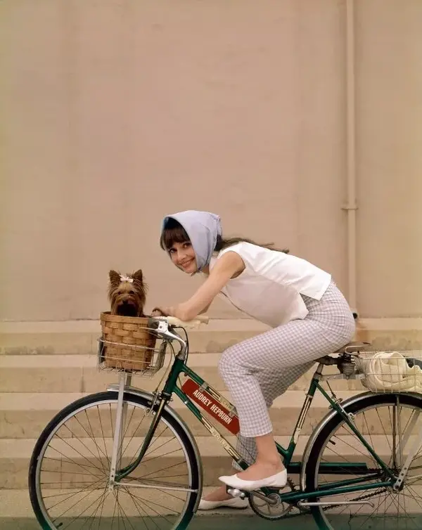 audrey-hepburn-riding-a-bicycle-13-3912453286.webp