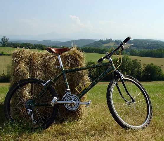 December 2007 BOTM (tied) - 24pouce's Cannondale.jpg.jpg