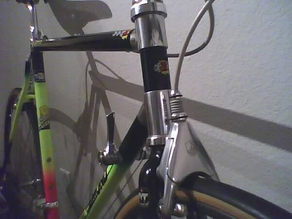 bikelemond2.jpeg