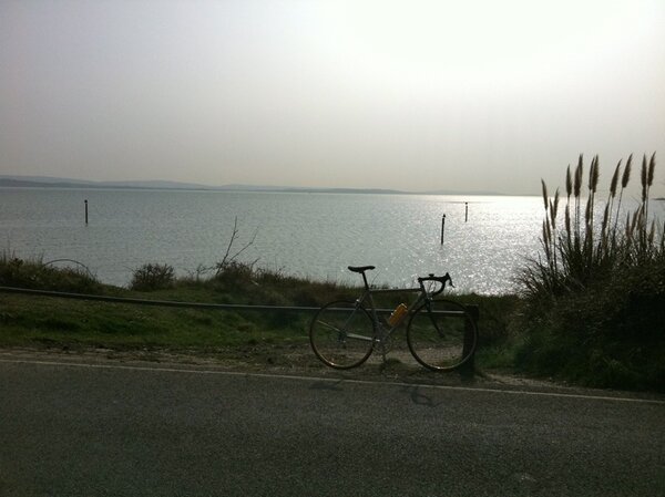 view from lepe beach.jpg