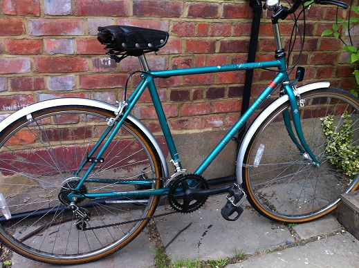 Raleigh Pioneer Commuter.jpg