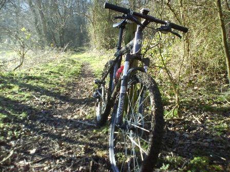 Avalanche in Bardney Woods.JPG