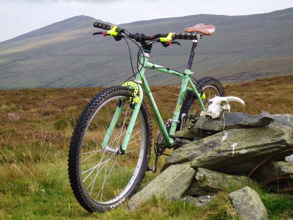 Kona-and-sheep-skull Slieu Managh.jpg