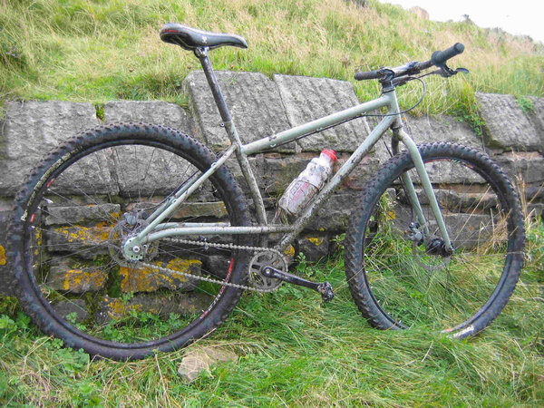 29er rear.jpg