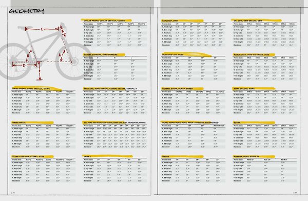 Kona geometry 2005.jpg