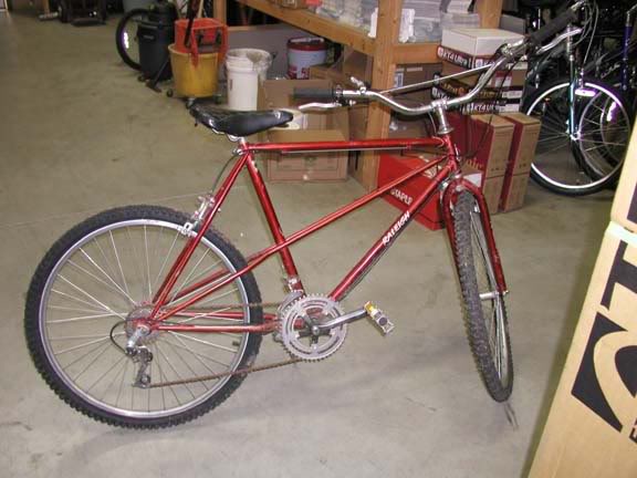 Raleigh Trail Rider 1982.jpg