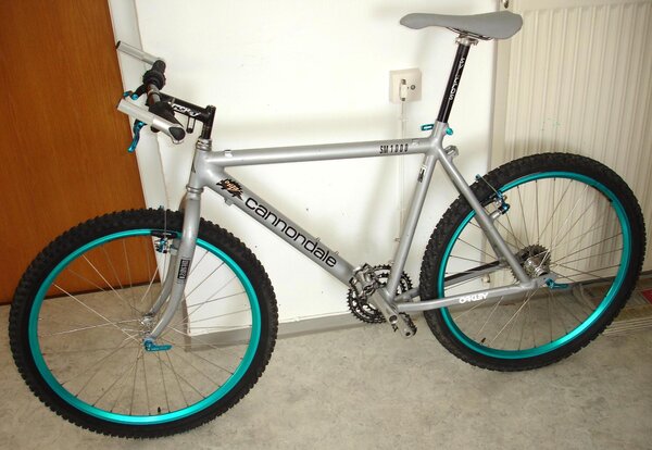 Cannondale_SM1000_16.JPG