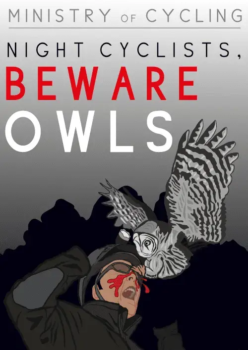 Owl-Attack-MEDIUM.webp