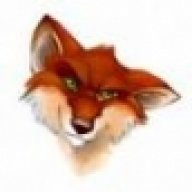 surreyfox