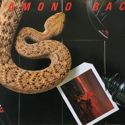 1986 Diamond Back Catalogue