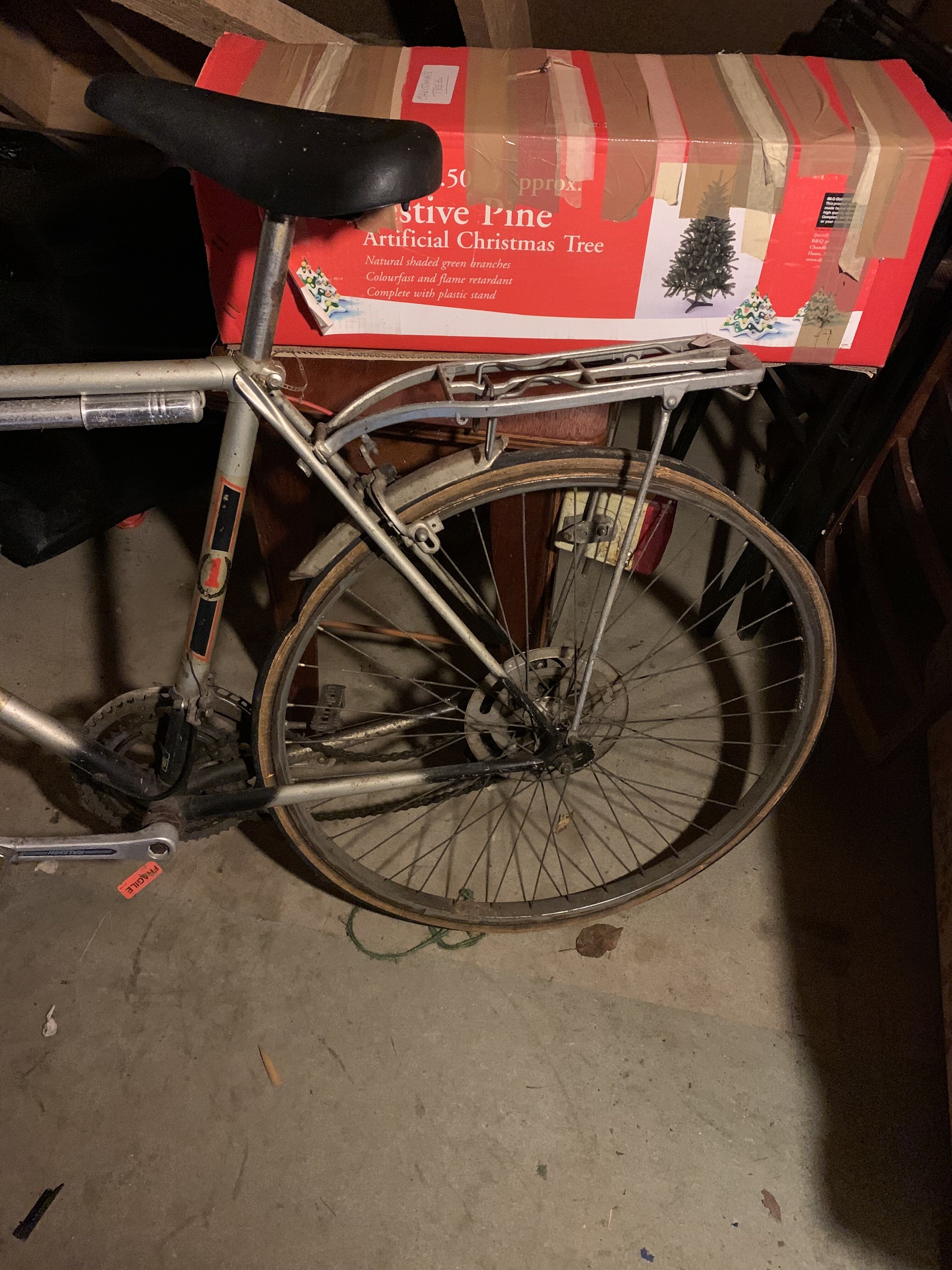 Raleigh Bike